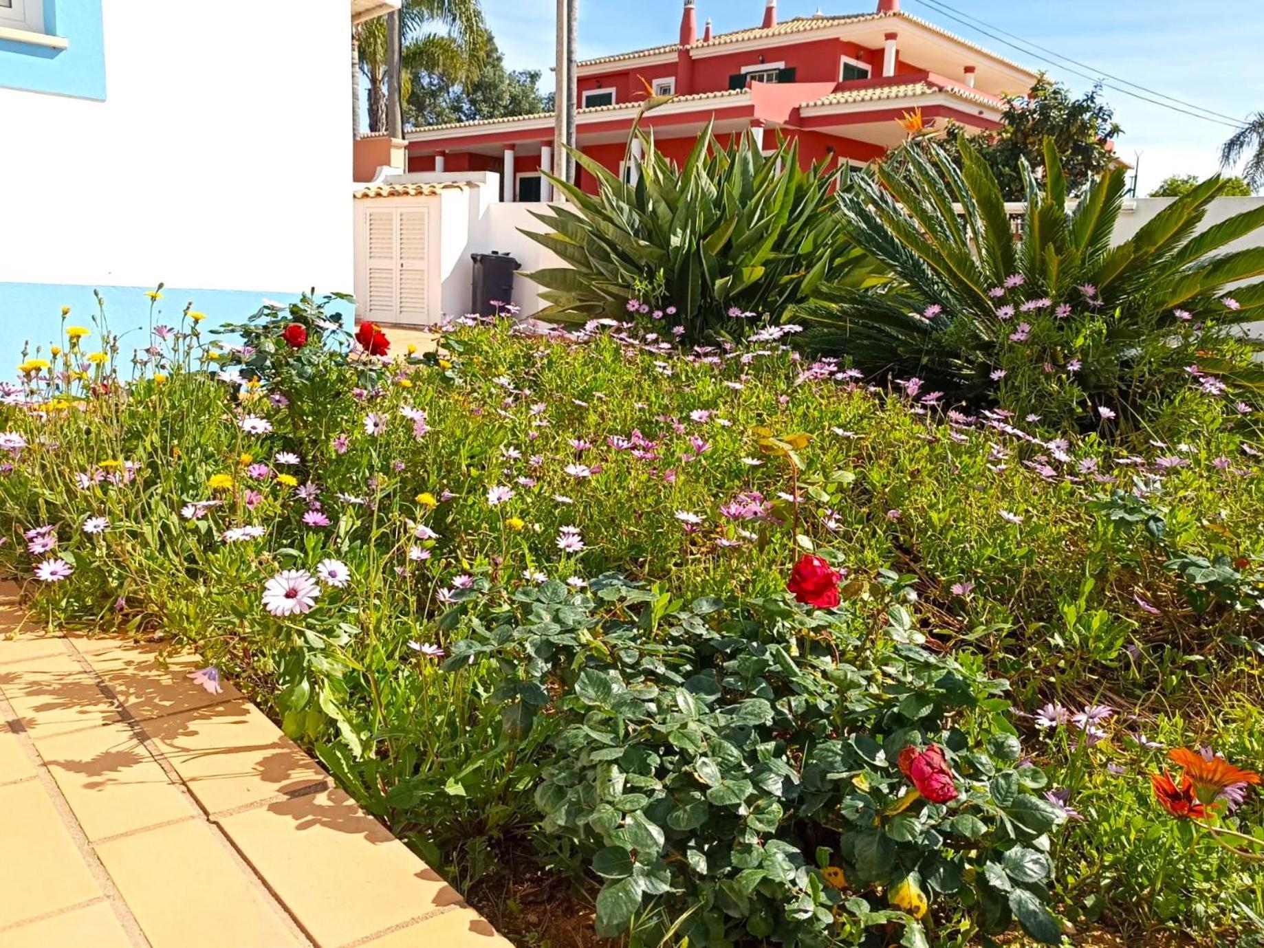 Casa Azul Otel Lagos Dış mekan fotoğraf